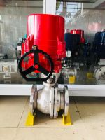 Van bi điều khiển điện có tay quay