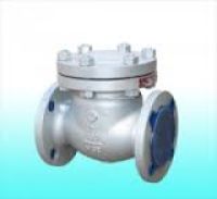 Van 1 chiều lá lật DN100