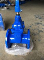 Van cổng ty chìm nắp chụp