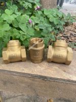 Van một chiều đồng