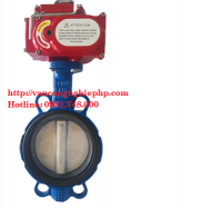 Van bướm điện là gì